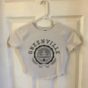 Hollister Size Small Cropped T-Shirt